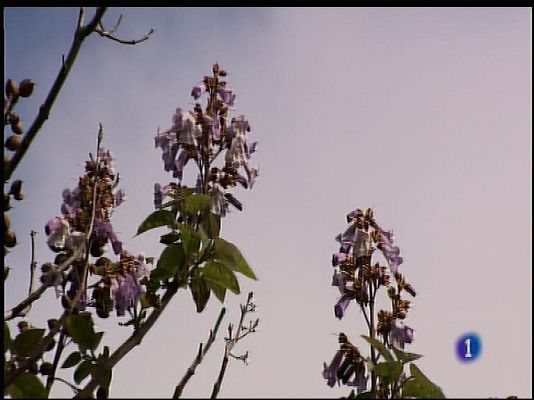 Panorama Regional - El tiempo en Asturias - 03/05/17