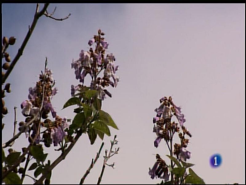 El tiempo en Asturias - 03/05/17 | Ver