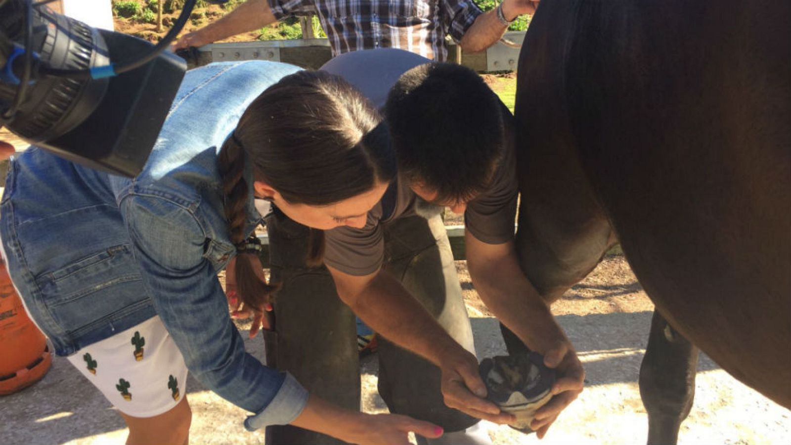 Un buen herrador es un tesoro