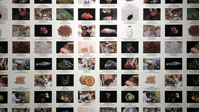 Metrópolis - Los monstruos de la máquina - ver ahora