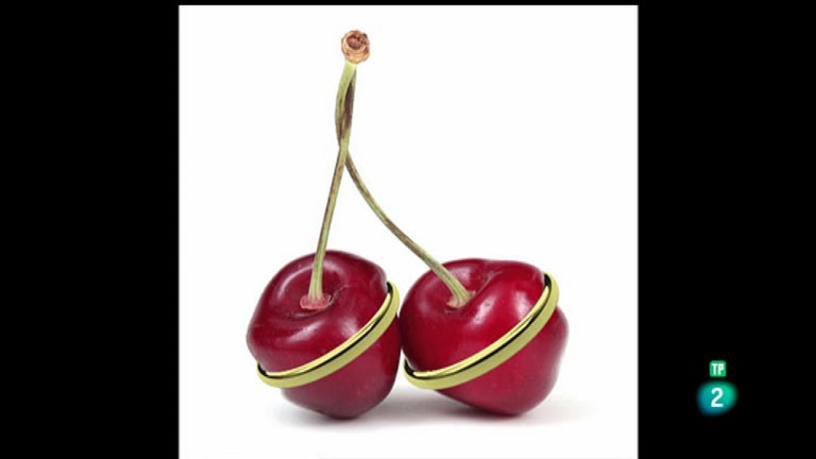 La Aventura del Saber. Serie Boek Visual. Toni Prat