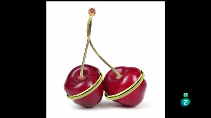 La aventura del Saber - Boek Visual: Toni Prat