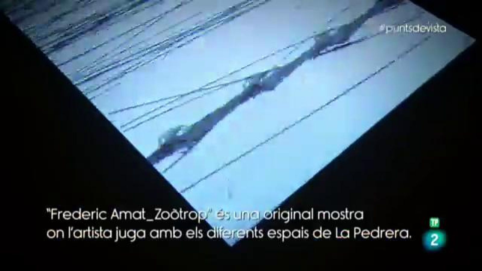 "Zoòtrop", de Frederic Amat