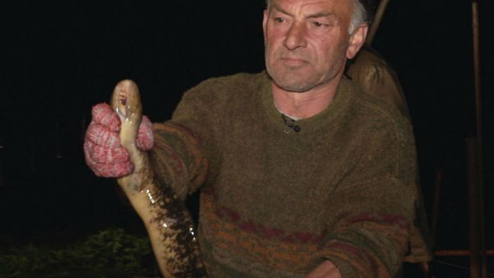 Aquí la Tierra - La estacada del río Tea