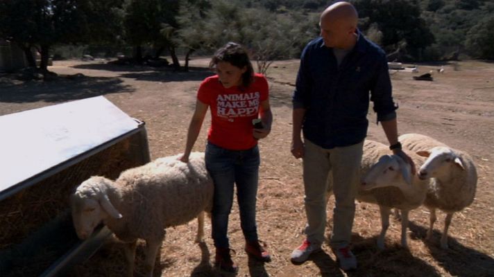Aquí la Tierra - Un refugio donde se respira amor