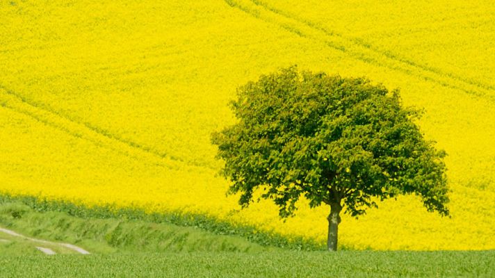 El tiempo - Ascenso de las temperaturas en el oeste peninsular