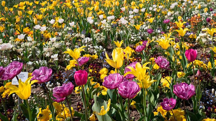 Informativo de Madrid - El Tiempo en la Comunidad de Madrid - 08/05/17