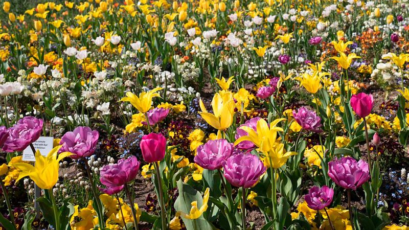El Tiempo en la Comunidad de Madrid - 08/05/17