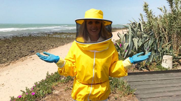 Aquí la Tierra - Miel ¿de playa?