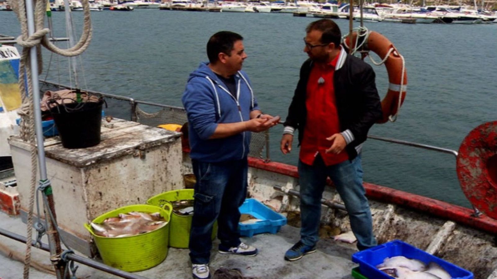 Subasta de pescado al público