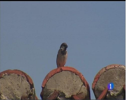 Panorama Regional - El tiempo en Asturias - 10/05/17