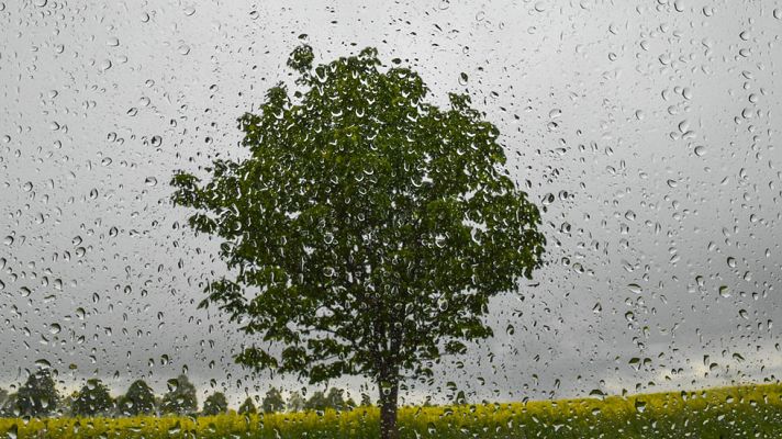 Informativo de Madrid - El Tiempo en la Comunidad de Madrid - 11/05/17