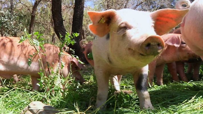 Aquí la Tierra - Aquí la Tierra - 11/05/17