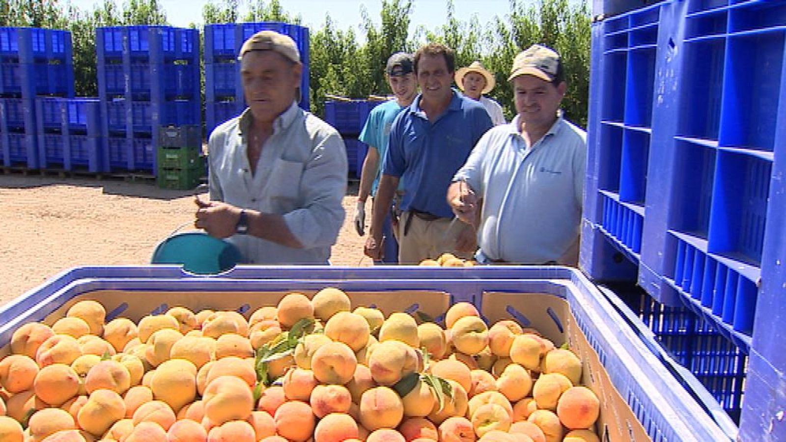 PLAN ESTRATÉGICO FRUTA