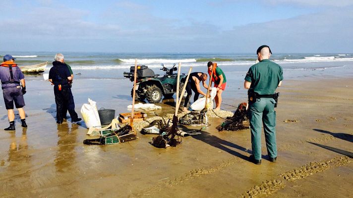 Telediario 1 - El SEPRONA ha atendido en 2016 más de 46.000 consultas