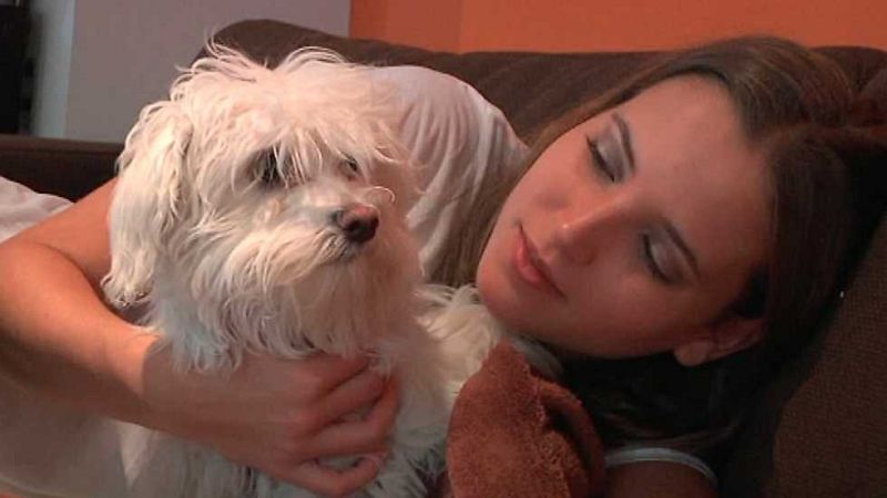 Más que perros y gatos - Capítulo 9 - ver ahora