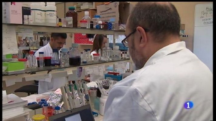 Informatiu Balear - Testimonis diuen que no se senten estafats amb el Minerval