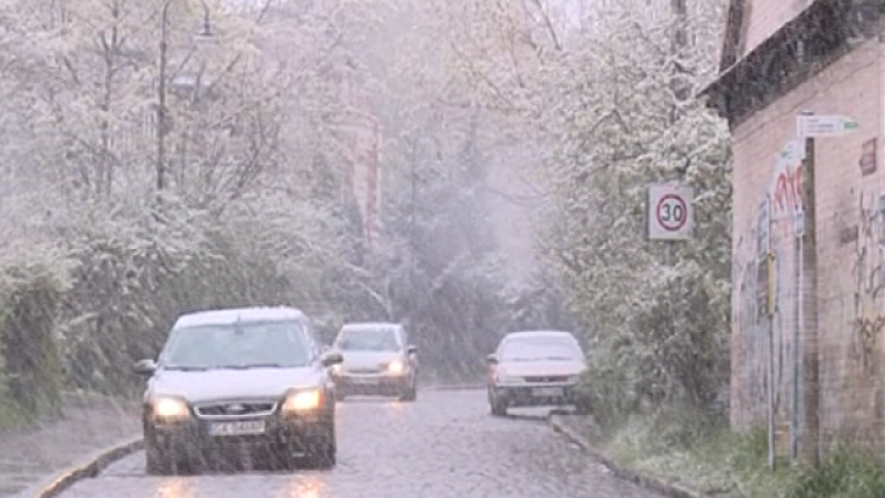 Teleplaneta - 15/05/2017