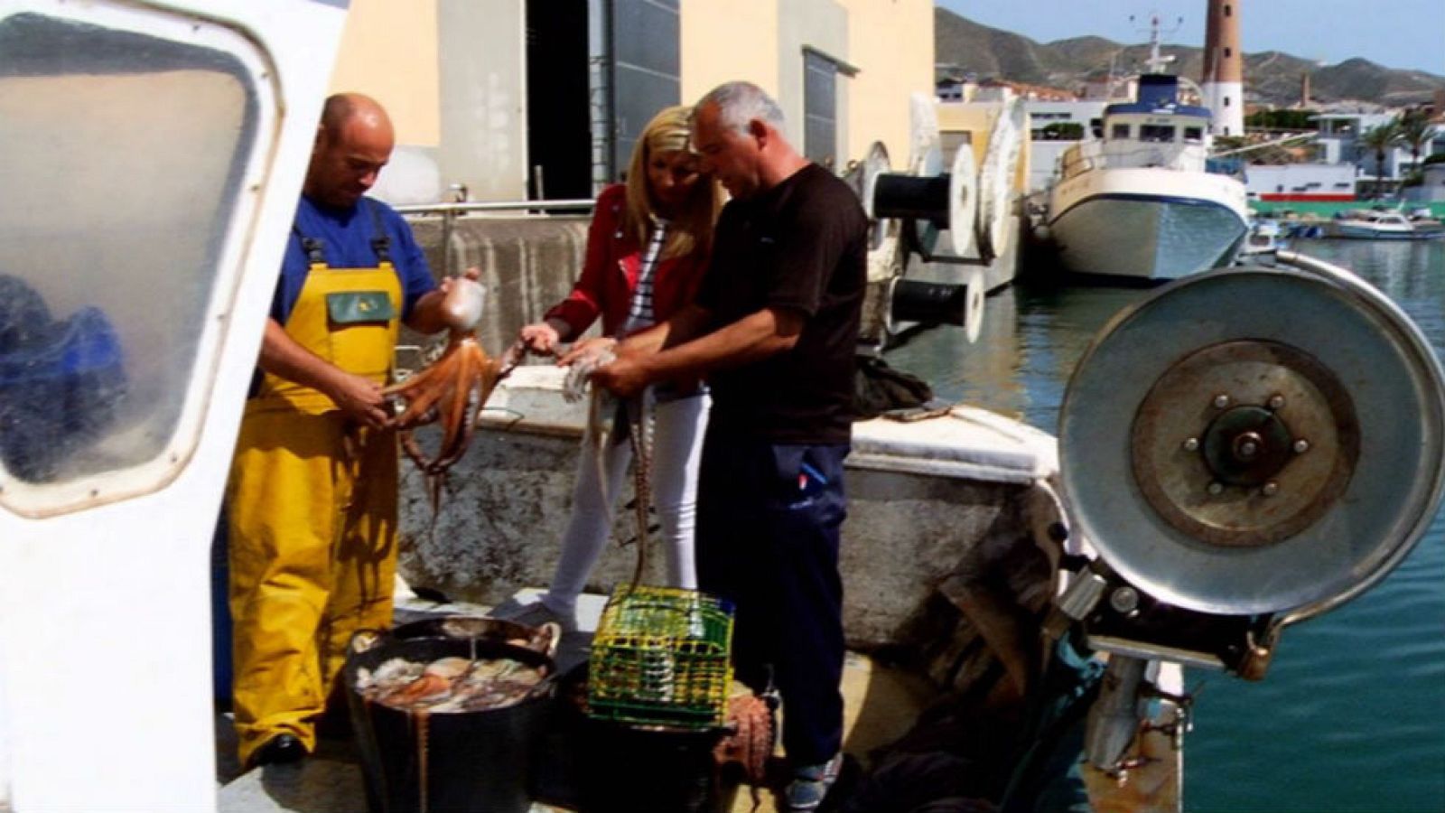 Pulpo, animal codiciado