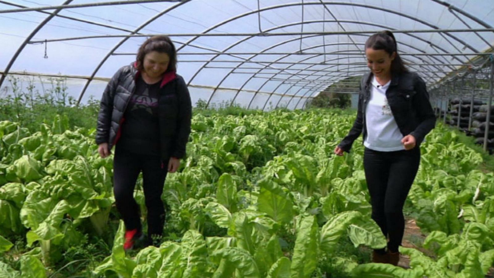 La vida en un caserío