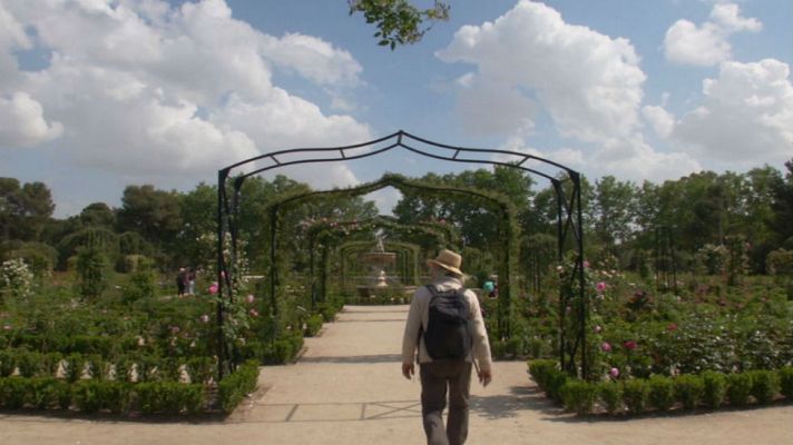 Aquí la Tierra - Enigmática rosa