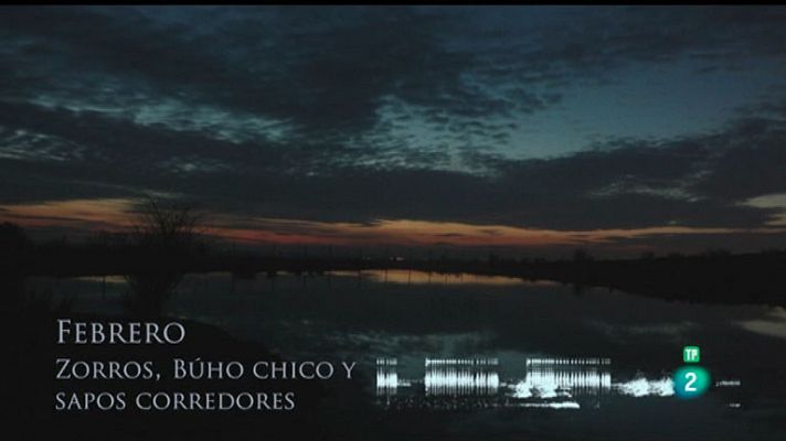 La aventura del Saber - El recolector de sonidos