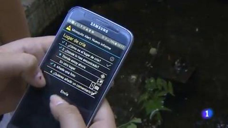 Caçar el mosquit tigre des de l'escola