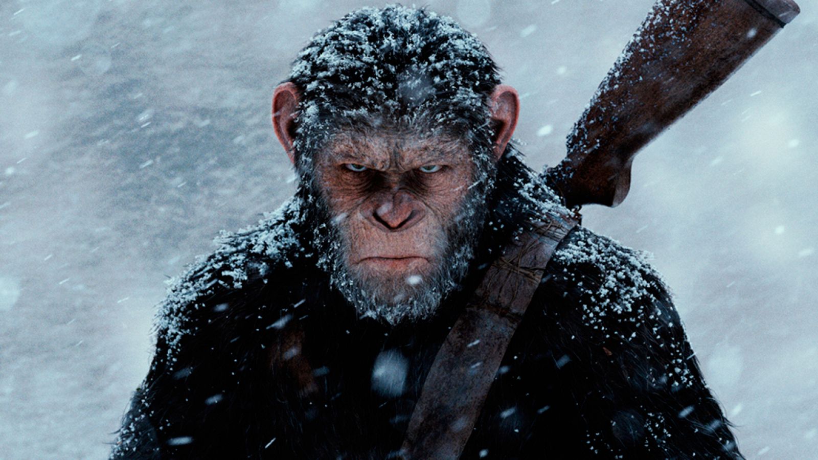 RTVE.es estrena el nuevo tráiler en castellano de 'La guerra del planeta de los simios'