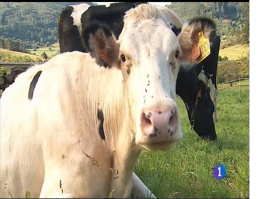 Panorama Regional - Panorama Regional 2 - 16/05/17