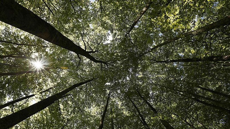 Un frente frío atlántico dejará precipitaciones en el noroeste