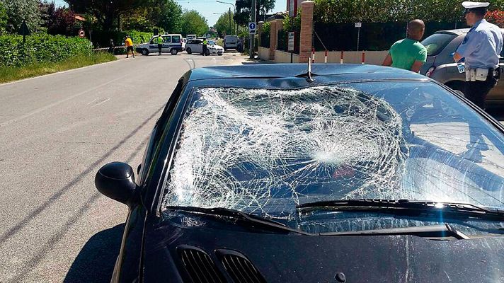 Telediario 1 - Hayden, en estado críttico tras ser atropellado