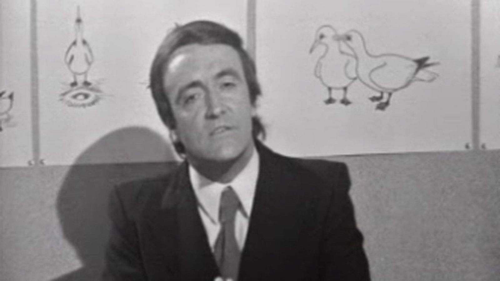 El planeta azul - El lenguaje de los alcatraces