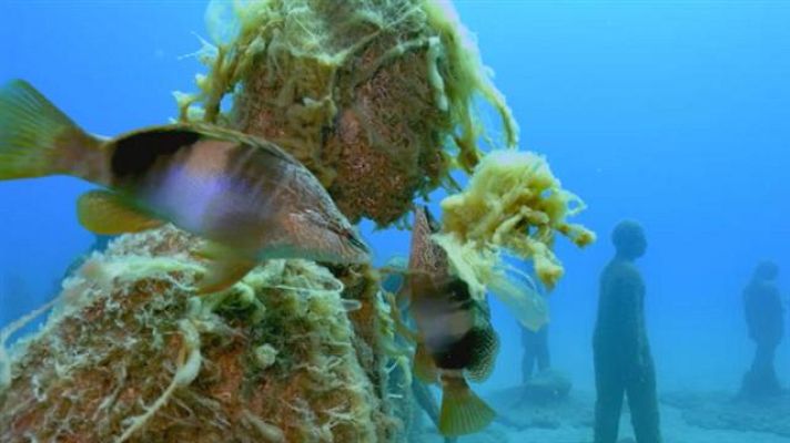  - DÍA DE LOS MUSEOS