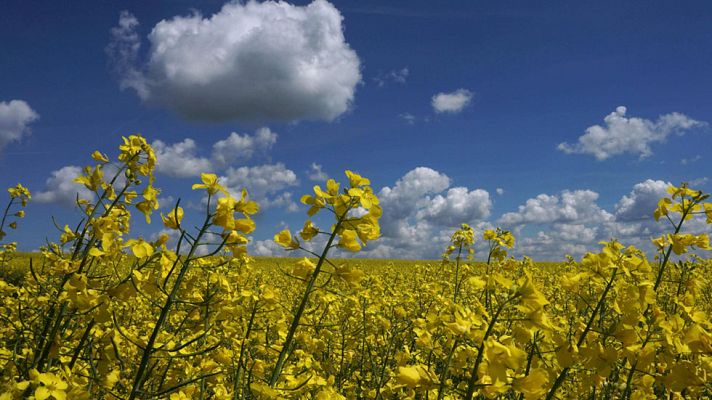 El tiempo - Baja el calor en el Mediterráneo