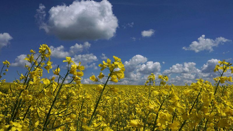 Baja el calor en el Mediterráneo