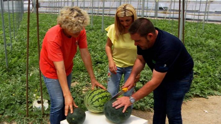 Aquí la Tierra - Primera sandía de temporada