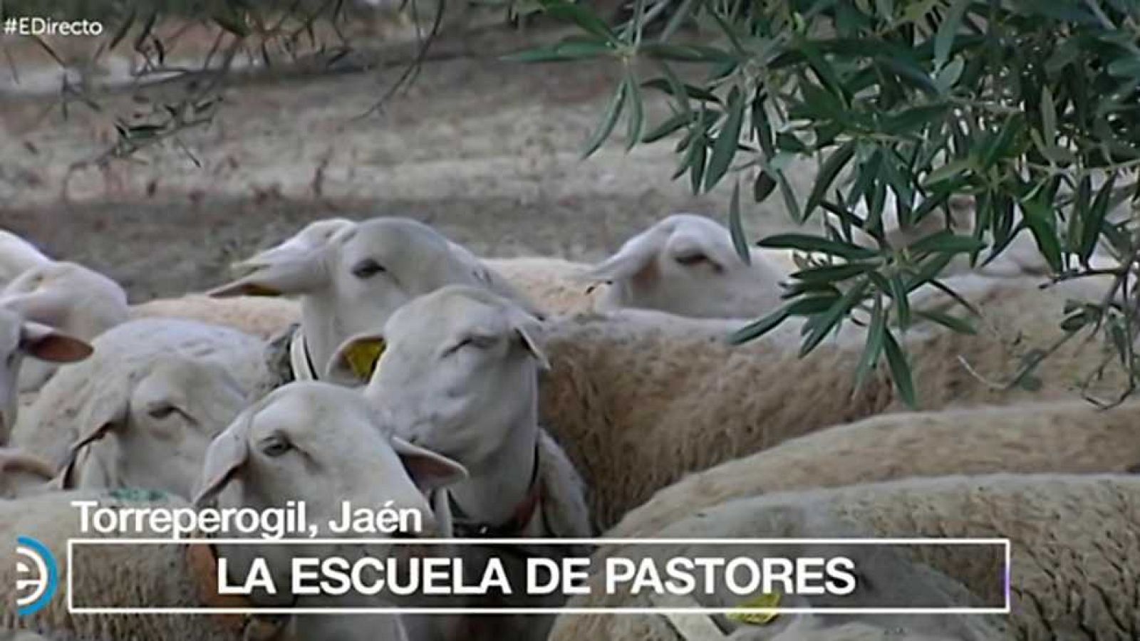 España Directo - 18/05/17 - ver ahora