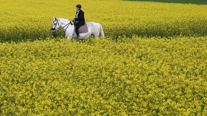 Informativo de Madrid - El Tiempo en la Comunidad de Madrid - 19/05/17