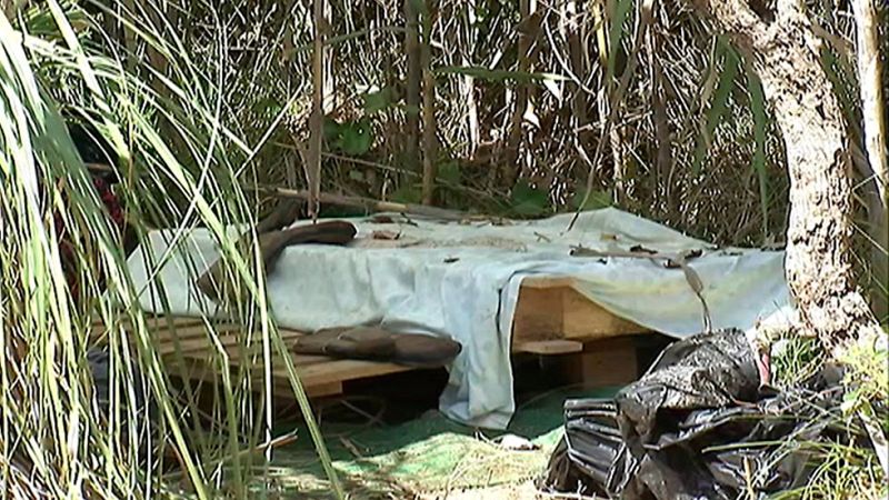 Construye una cabaña para huir de los malos tratos | Ver