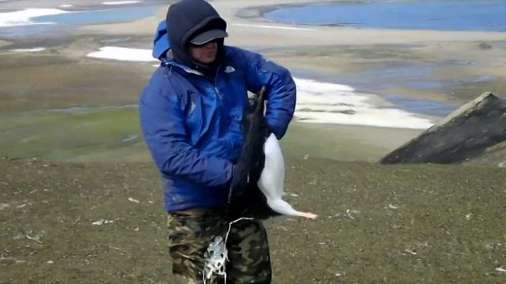 El escarabajo verde - Antártida. Capítulo 2: Hielo traslúcido