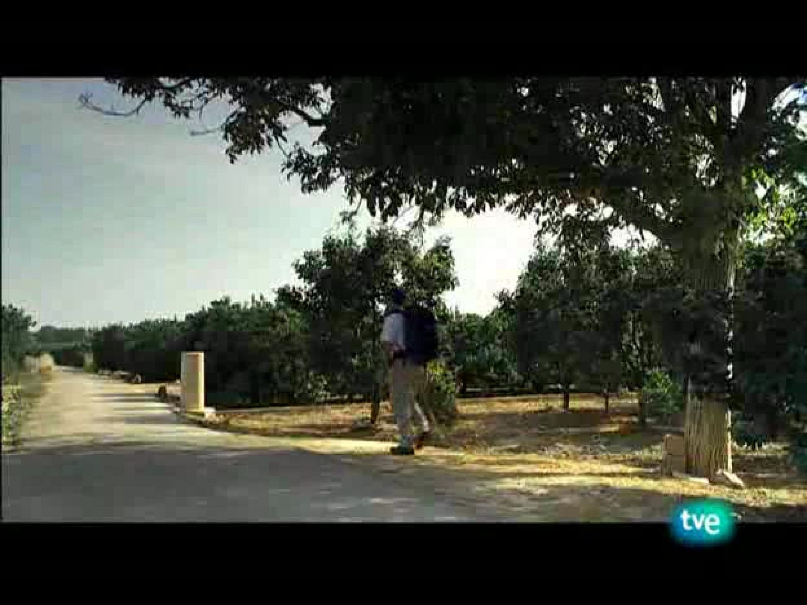 Nuestros caminos a Santiago -  Camino de levante 1 - Nuestros caminos a Santiago | Ver