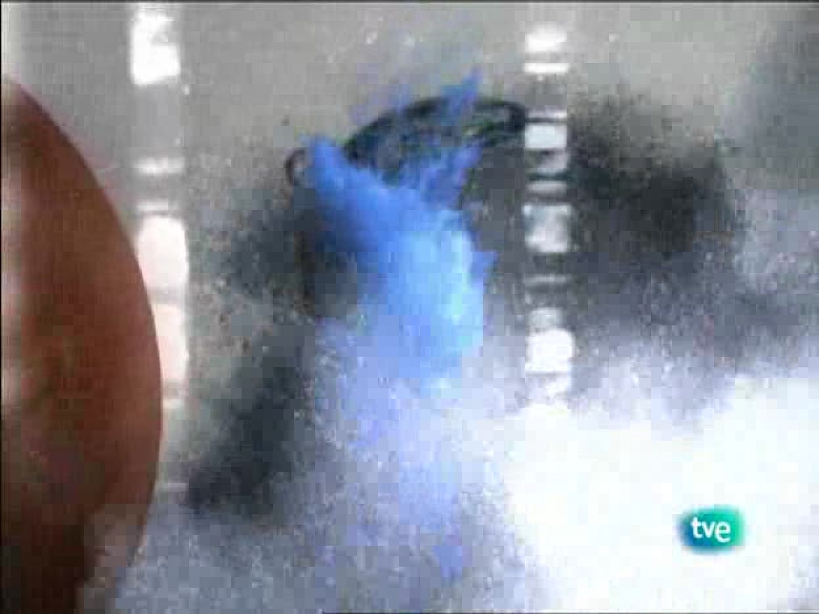 tres14 - Corazón - tres14 | Ver