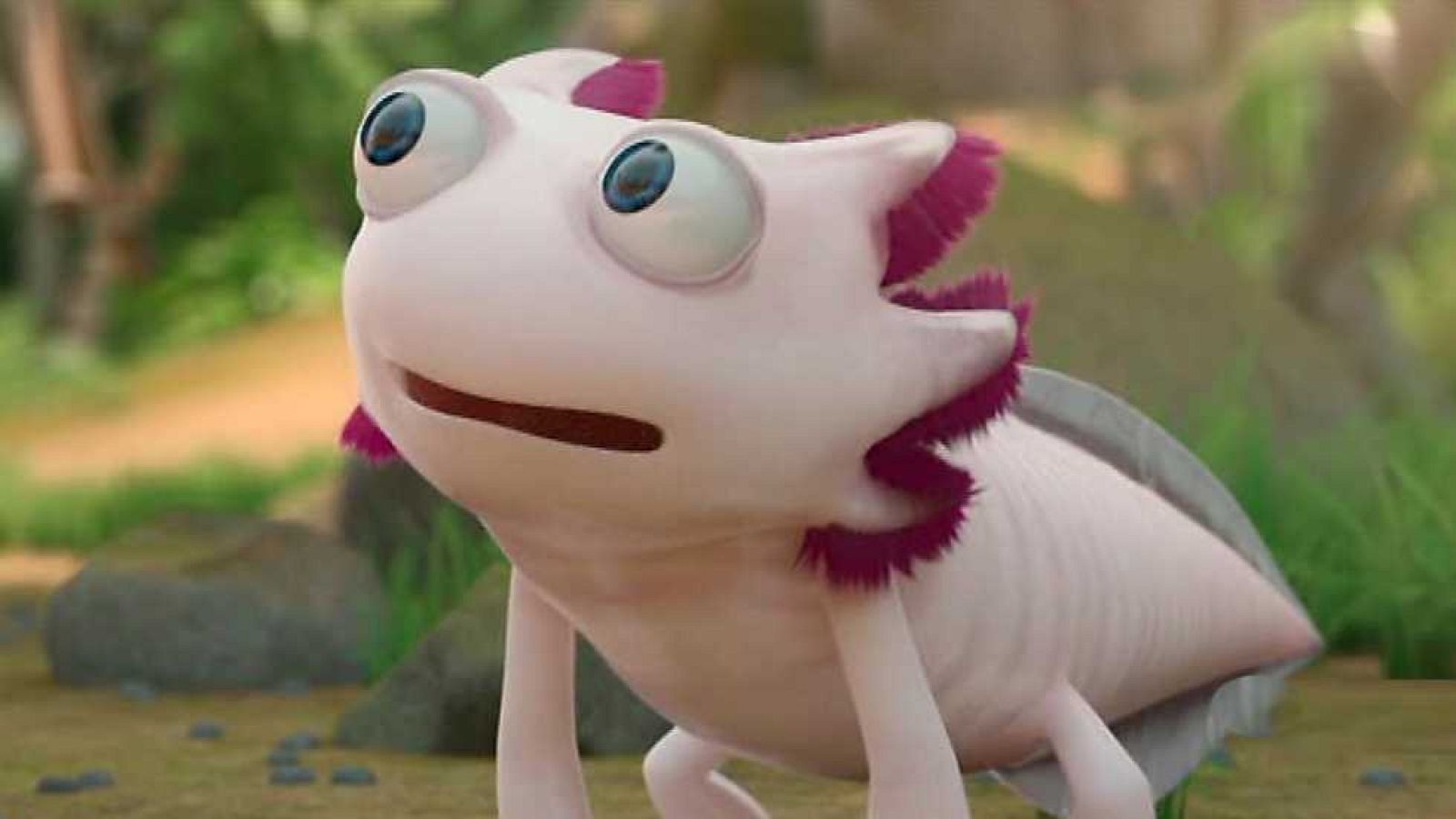 La mini panda de la selva - La panda de la selva | Ver