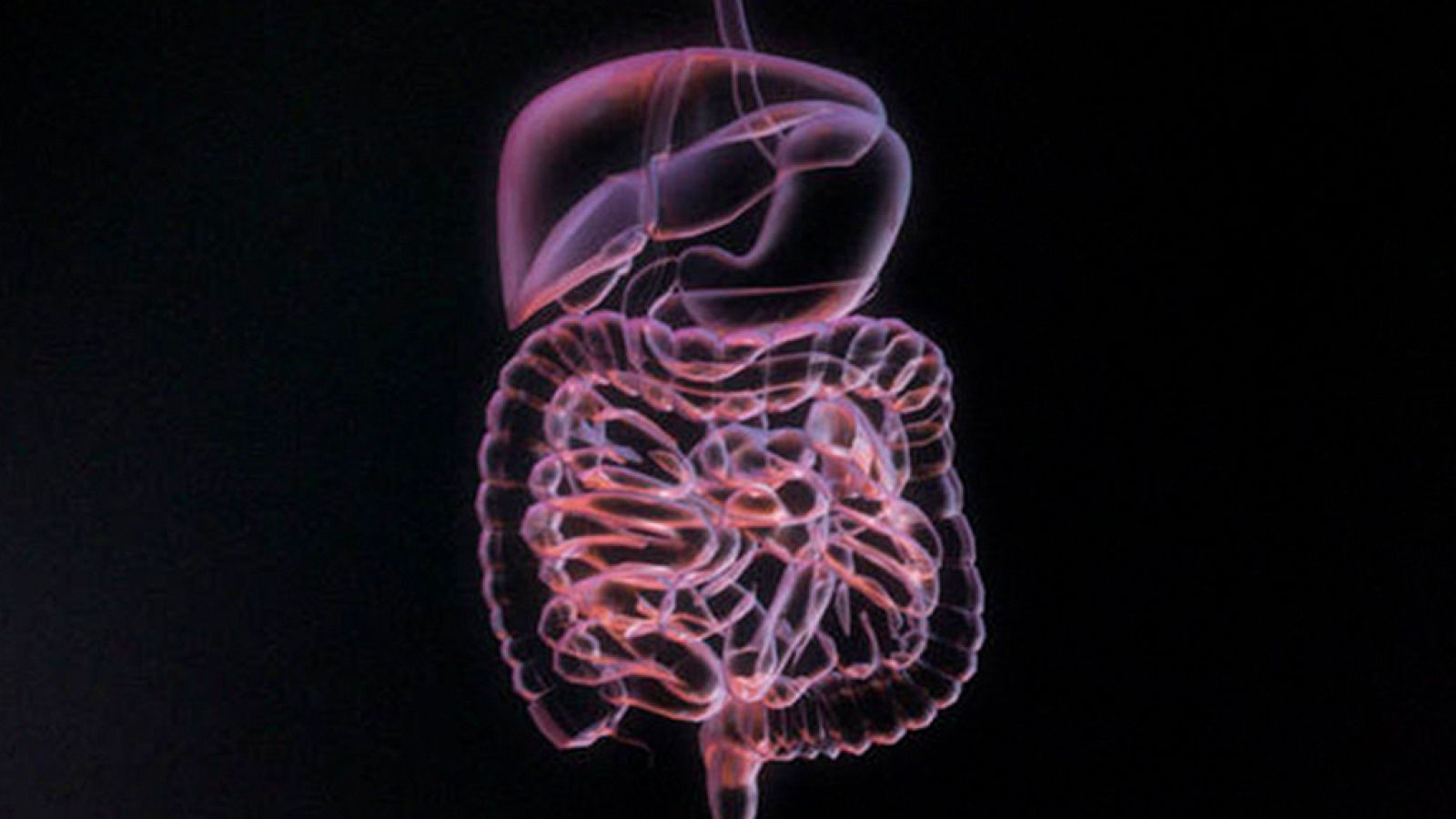 La noche temática - Hacer de tripas corazón - ver ahora