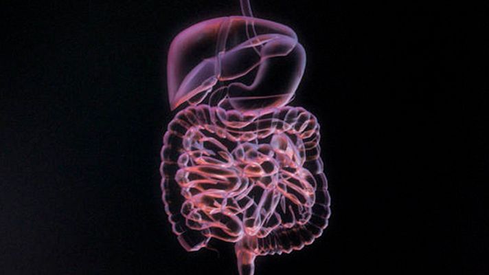 La noche temática - Hacer de tripas corazón