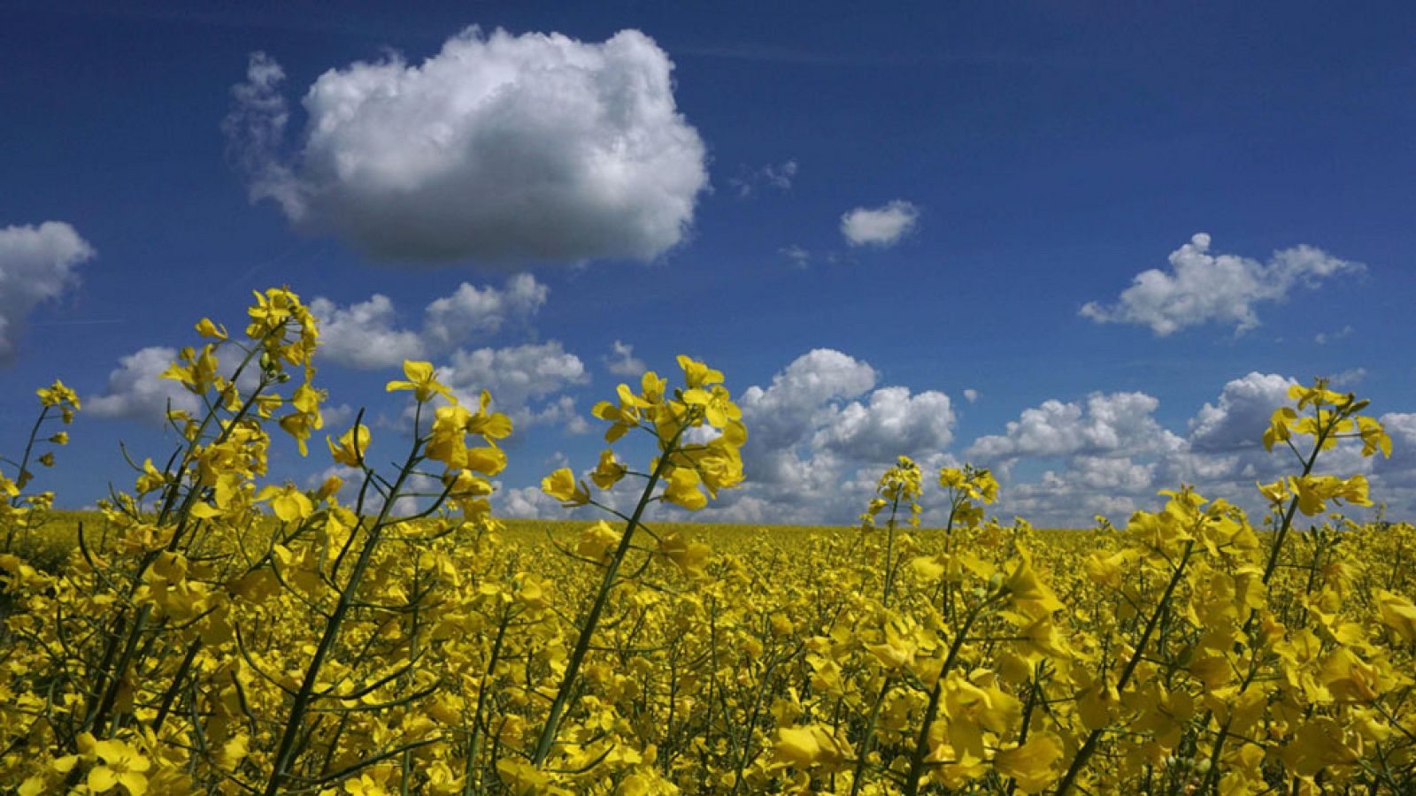 Bajan las temperaturas en el Cantábrico, sobre todo en el litoral
