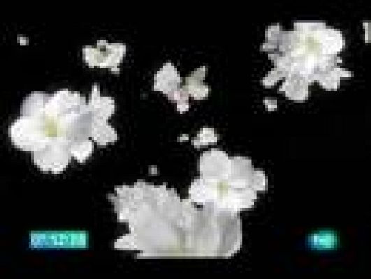  - El jardín de los sueños