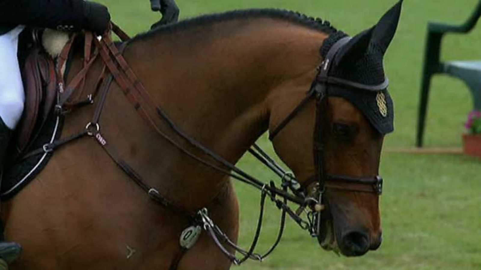 Hípica - Concurso de saltos GCT Madrid Copa del Rey - Trofeo Volvo - ver ahora