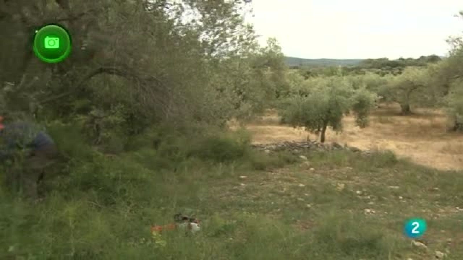 Agrosfera - En clave rural - Bajo Maestrazgo, Castellón