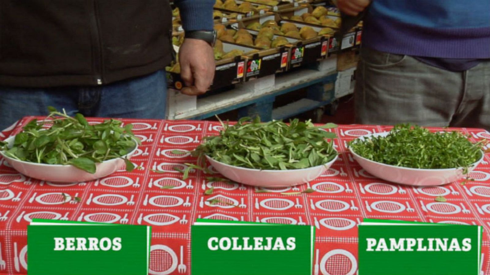 Cata de pamplinas, collejas y berros